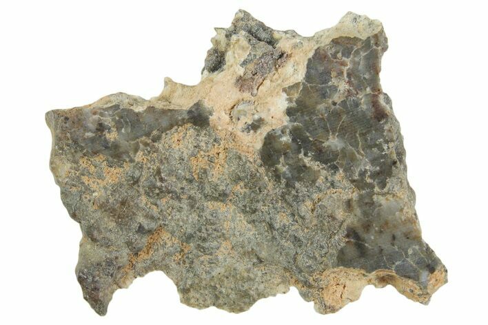 Lunar Meteorite ( g) Section - Laayoune #360216